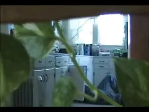 دختر سیاه, شب عروسی  ...