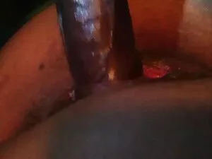 سگ ماده سیاه پوست مک ...